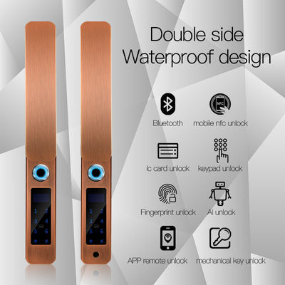 IP68 Wasserdicht FPC Fingerabdruck Smart Door Lock Bluetooth Antique