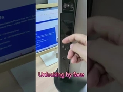 Gesichtserkennung Video Katzen-Auge Smart Lock Palm Vene Unlocking chinesische Fabrik