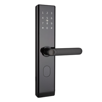 WiFi TTLOCK Smart Door Lock Biometrischer Fingerabdruck Türgriff Digitales Schlüsselloses Schloss