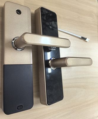 Bluetooth / WiFi Smart Door Lock mit Fernbedienung