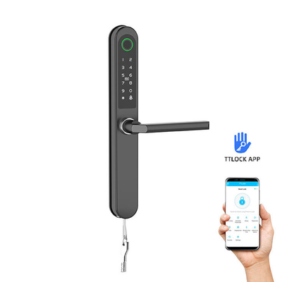 Fertiggemachte lackierte RFID-Türschloss kommerzielle Bluetooth-WLAN-Spezialkarte / Code / Fingerabdruck / APP