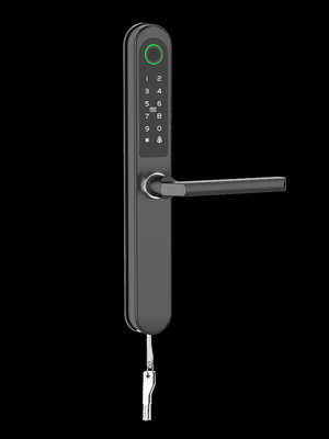 Fertiggemachte lackierte RFID-Türschloss kommerzielle Bluetooth-WLAN-Spezialkarte / Code / Fingerabdruck / APP