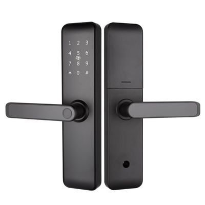 Gemalte Bluetooth WiFi RFID Schlüssellose Smart Locks für Wohnungen Home Eingang Tür Zimmer Tür