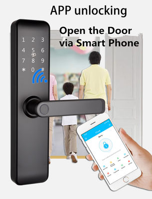 Gemalte Bluetooth WiFi RFID Schlüssellose Smart Locks für Wohnungen Home Eingang Tür Zimmer Tür