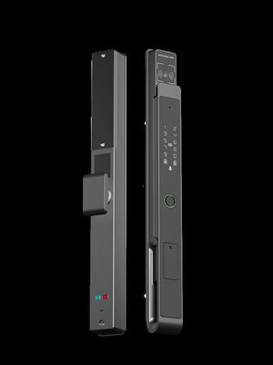Gesichts- / Handflächenvenen-Smart Mortise Lock 7-in-1 Freischaltbarkeit IP65 BKFDS Aluminium