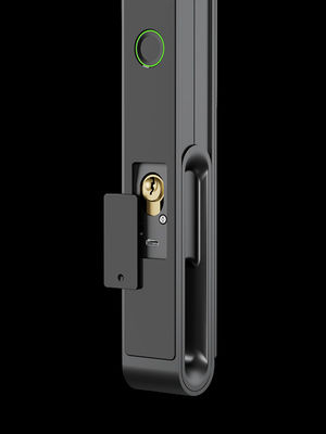 Face / Palm Vein Smart Gate Lock 7-in-1 Entriegelung IP65 Aluminium