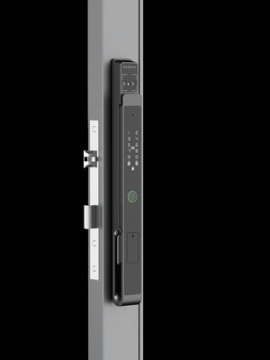 Aluminium kommerzielle Smart Lock Gesichtserkennung Video Katze Auge Handfläche Vene Entsperren IP65