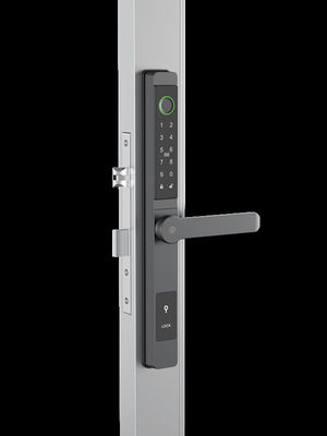 Gesichtserkennung / Cat Eye Video / Palm Vein Smart Door Lock IP65 Aluminium