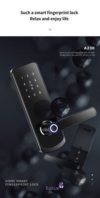 eKey Controller Typ RFID-Türschloss mit mechanischem Schlüssel