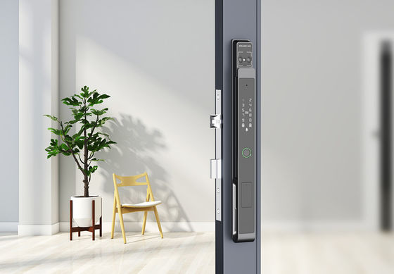 Face / Palm Vein Smart Gate Lock 7-in-1 Entriegelung IP65 Aluminium