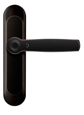ROHS Smart Fingerprint Bluetooth Türschloss AI Voice Zinklegierung Griff